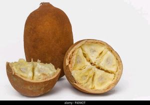 imagem do produto Suco de Cupuaçu 300 ml