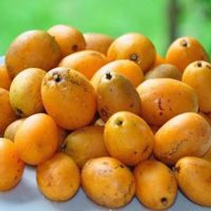 imagem do produto taperebá jarra 1 litro