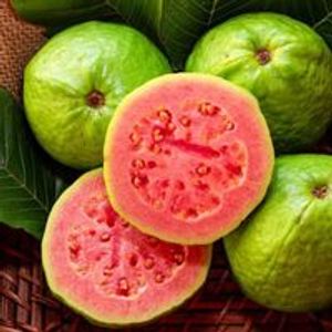 imagem do produto GOIABA 1 litro