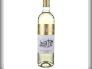imagem do produto Vinho Terras da Nóbrega Verde