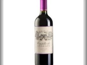 imagem do produto Vinho Castillo De Andrade Carmenére Tinto Fino Seco