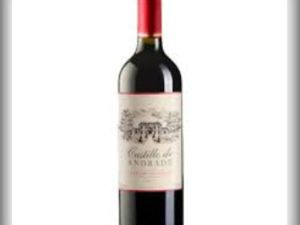 imagem do produto Vinho Castillo De Andrade Cabernet Sauvignon Merlot 2023