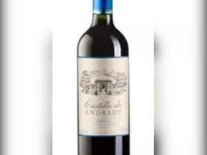 imagem do produto Vinho Castillo De Andrade Merlot 2023
