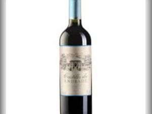 imagem do produto Vinho Castillo De Andrade Malbec 2022