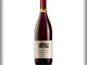 imagem do produto Vinho Castillo De Andrade Pinot Noir