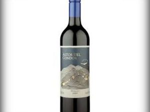 imagem do produto Vinho Altos Del Condor Merlot