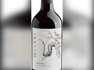 imagem do produto Vinho Recodo Carménère
