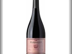 imagem do produto Vinho Parrales Reserva Carménère