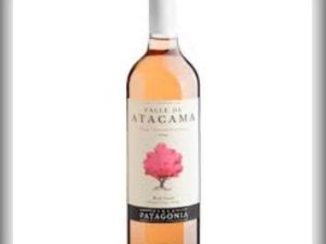 imagem do produto Vinho Valle de Atacama Rosé Syrah