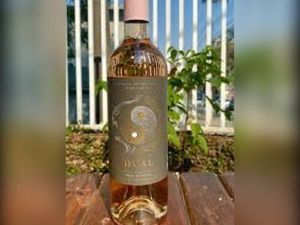 imagem do produto Vinho Dual Merlot Rosé
