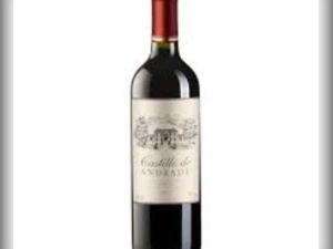 imagem do produto Vinho Castillo de Andrade Syrah