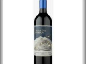 imagem do produto Vinho Altos del Condor Malbec