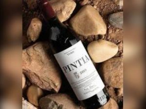 imagem do produto Vino Pintia 2019
