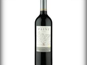 imagem do produto Vinho Paine Syrah