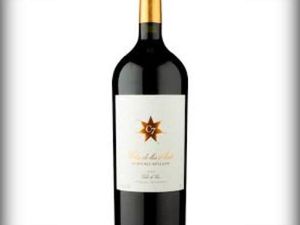 imagem do produto Vinho Clos de los Siete by Michel Rolland 2020 1,5 litros