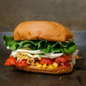 imagem do produto X frango catupiry 