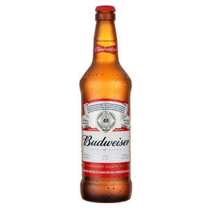 imagem do produto Budweiser long
