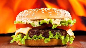 imagem do produto X-Salada - Burguer (Pão, Carne 120gr, Queijo, Alface, Tomate e Molho)