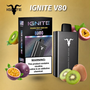 imagem do produto V80 NEW EDTION 🌬️