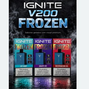 imagem do produto ✨Novidade V200 Frozen 🥰