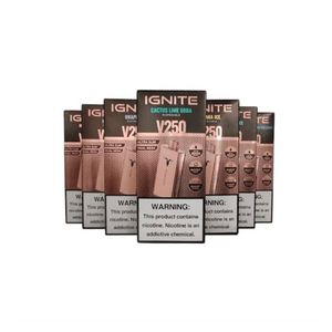 imagem do produto V250 grape ice