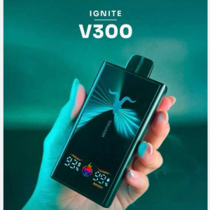 imagem do produto V300 🌬️