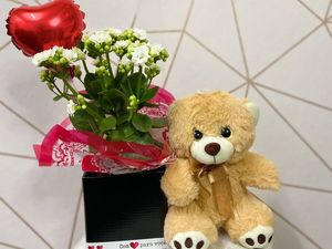 imagem do produto Mimo você é sensacional + Flor kalanchoe