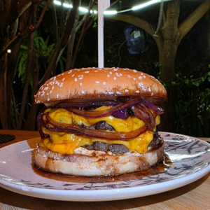 imagem do produto DUPLO CHEDDAR 