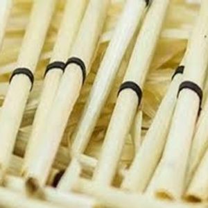 imagem do produto Paiol Varejo