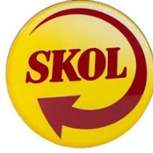 imagem do produto skol 