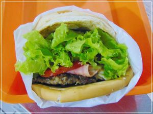 imagem do produto X-salada