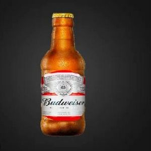 imagem do produto Budweiser 300 ml