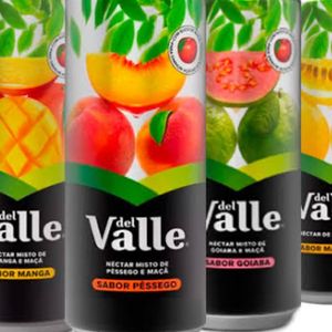 imagem do produto Suco del vale lata