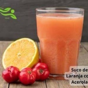 imagem do produto Laranja com acerola leite 
