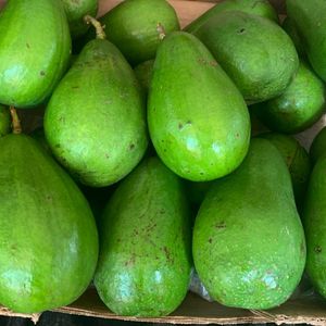 imagem do produto ABACATE MANTEIGA UNID