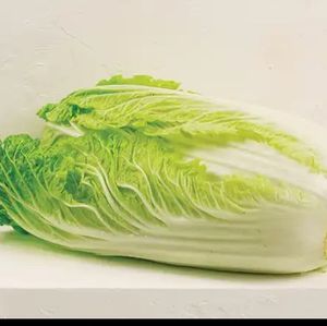 imagem do produto ACELGA UNID