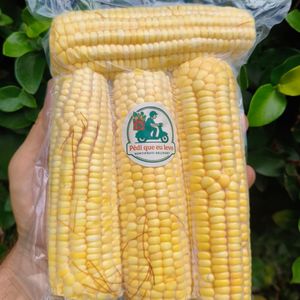 imagem do produto MILHO VERDE 4 UNID