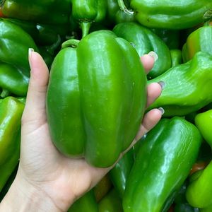 imagem do produto Pimentão Unidade