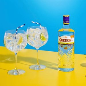 imagem do produto Gin gordons 750ml