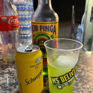 imagem do produto Copão bob pinga 