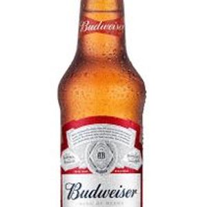 imagem do produto Budweiser long neck 330