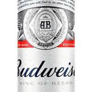 imagem do produto Budweiser 269 ml