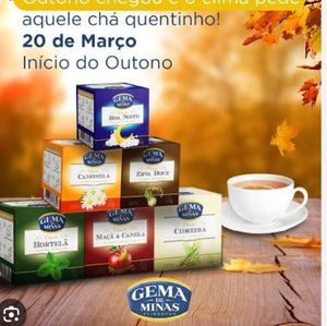 imagem do produto Cha  de hortela cx com 10 saches 
