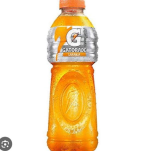 imagem do produto GATOREDE SABOR LARANJA