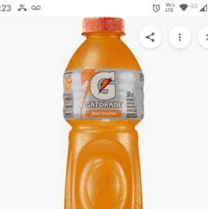 imagem do produto GATOREDE SABOR TANGERINA