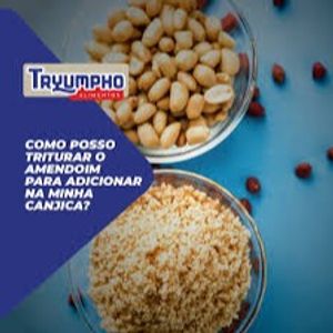 imagem do produto AMENDOIM 500g TRYUMPHO