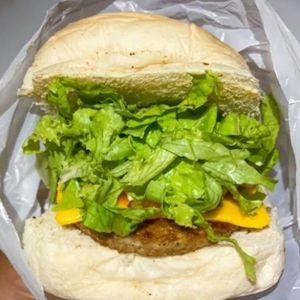 imagem do produto X-burguer 