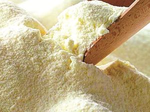 imagem do produto Leite em Pó