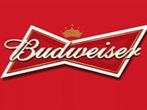 imagem do produto Budweiser Garrafinha 300ml