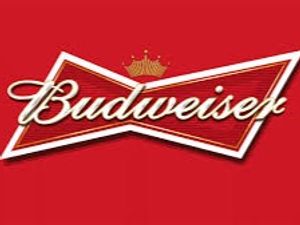 imagem do produto Budweiser LN